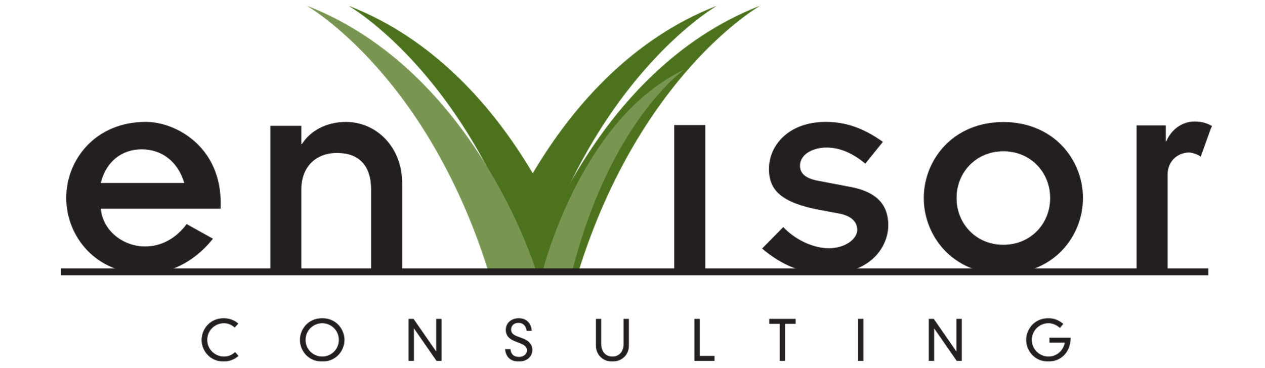 envisor-consulting